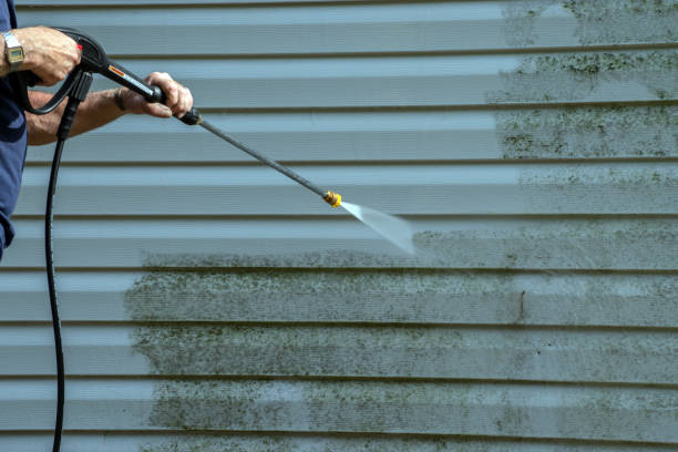 Best Roof Power Washing Services  in Shelby, MS