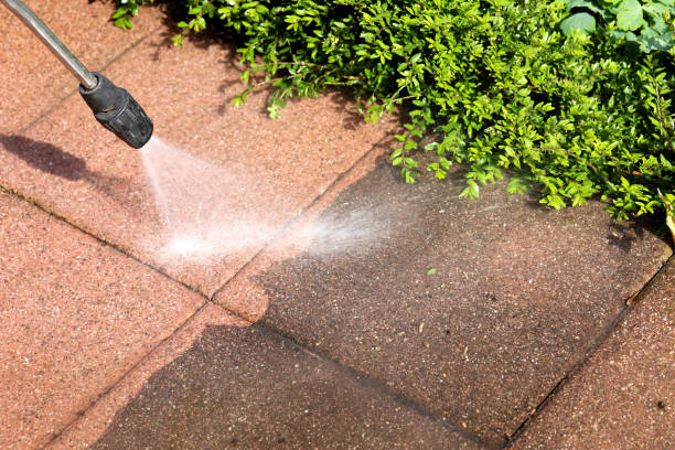 Best Residential Pressure Washing Services  in Shelby, MS